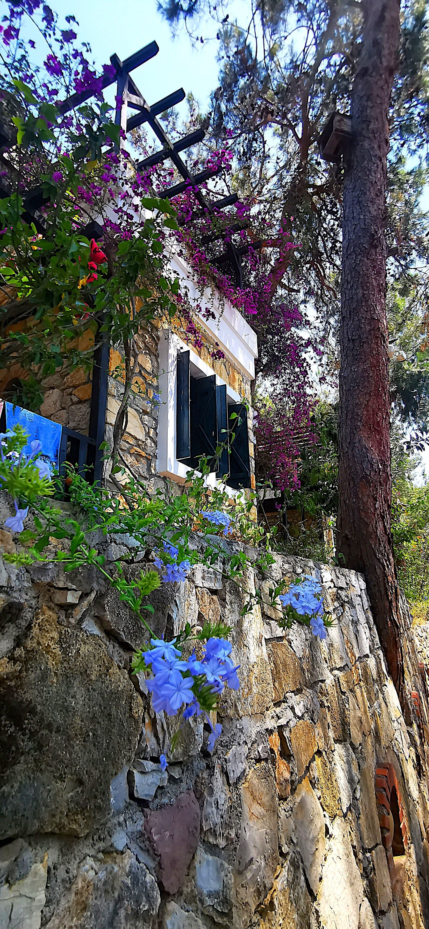 Un bâtiment en pierre surmonté d’une structure en bois, entouré d’arbres et de fleurs violettes.