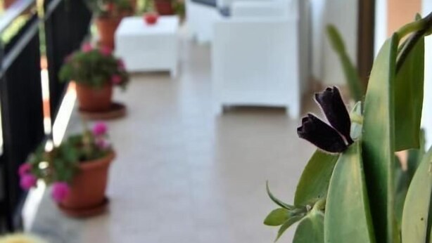 A balcony with potted plants, white furniture, and a view of greenery and mountains. - Il Girasole Bed and Breakfast (Palermo)