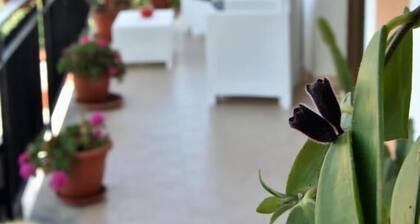 Il Girasole Bed and Breakfast