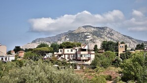 A residential area with houses, a mountain in the background, and some greenery in the foreground. - Il Girasole Bed and Breakfast (Palermo)