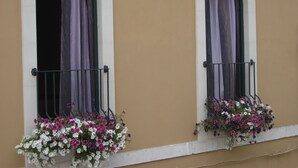 Zwei Rundbogenfenster mit violetten Vorhängen und Blumenkästen mit weißen, rosa und violetten Blumen.