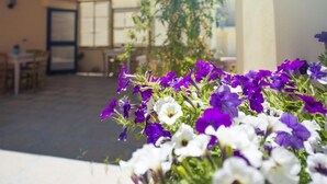Ein Patio mit Tisch und Stühlen, umgeben von lila und weißen Blüten.