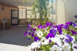 Property grounds - B&B Notos (Otranto)