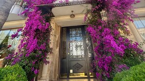 Una entrada imponente con una puerta negra, rodeada de coloridas flores de buganvilla moradas, y palmeras enmarcando la vista.