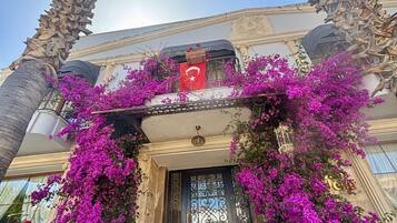 Vista frontal de la propiedad