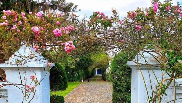 Un sendero de piedra atraviesa un jardín con pilares blancos y flores rosadas.
