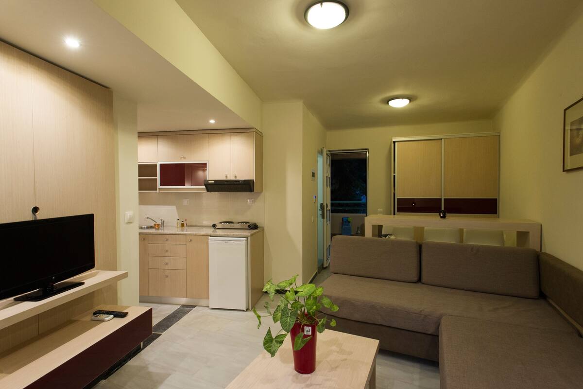 A modern living room with a flat-screen TV, a sofa, a coffee table with a plant, and a kitchen area with cabinets and a refrigerator.