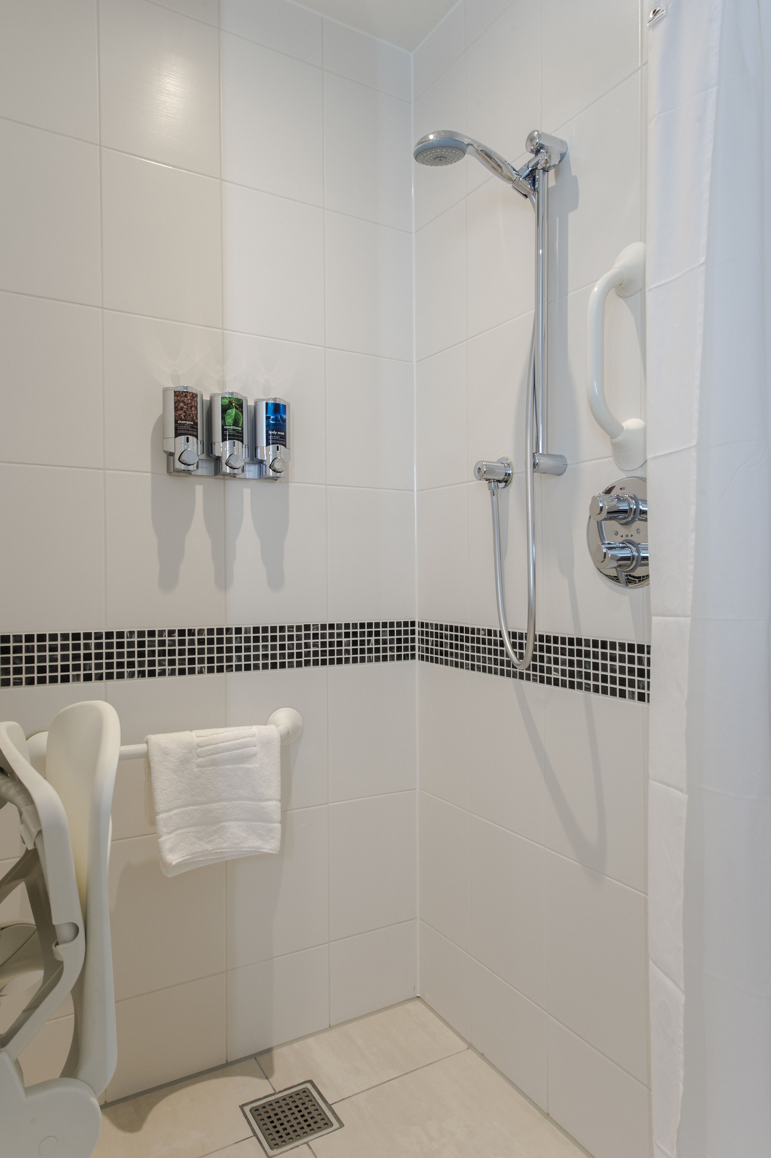 room, 1 queen bed, accessible, non smoking | bathroom | shower, free toiletries, hair dryer, towels