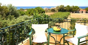 A balcony with a table and two chairs, overlooking a vineyard and the sea. - Villa Carina (Kefalonia)