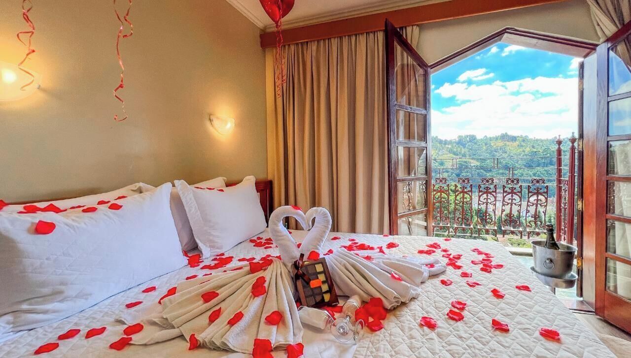 Cortinas blackout y ropa de cama 