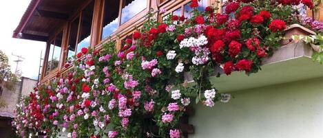 Un edificio con un balcón adornado con cestas de flores colgantes.