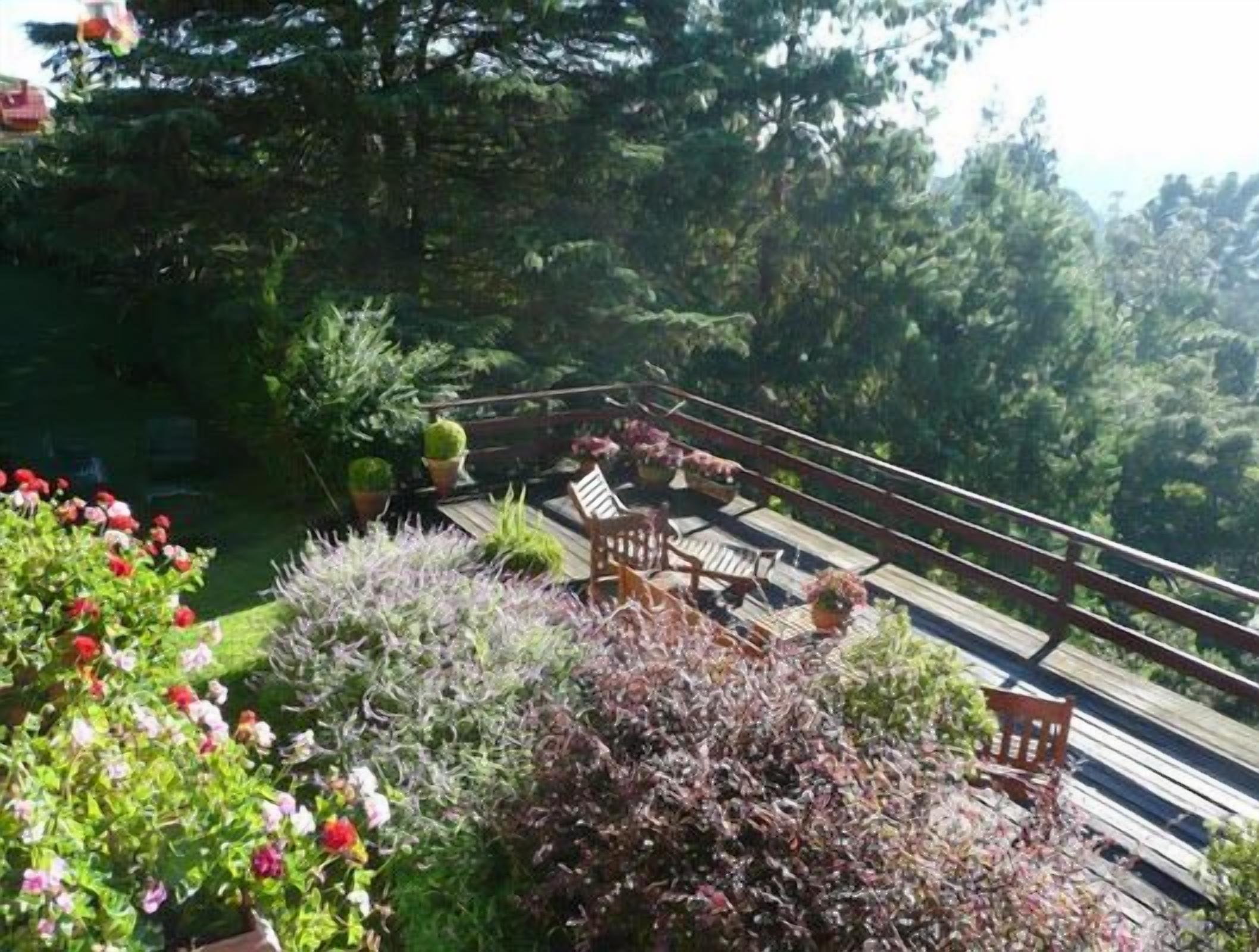 Un jardín con terraza de madera, plantas en macetas y un banco.