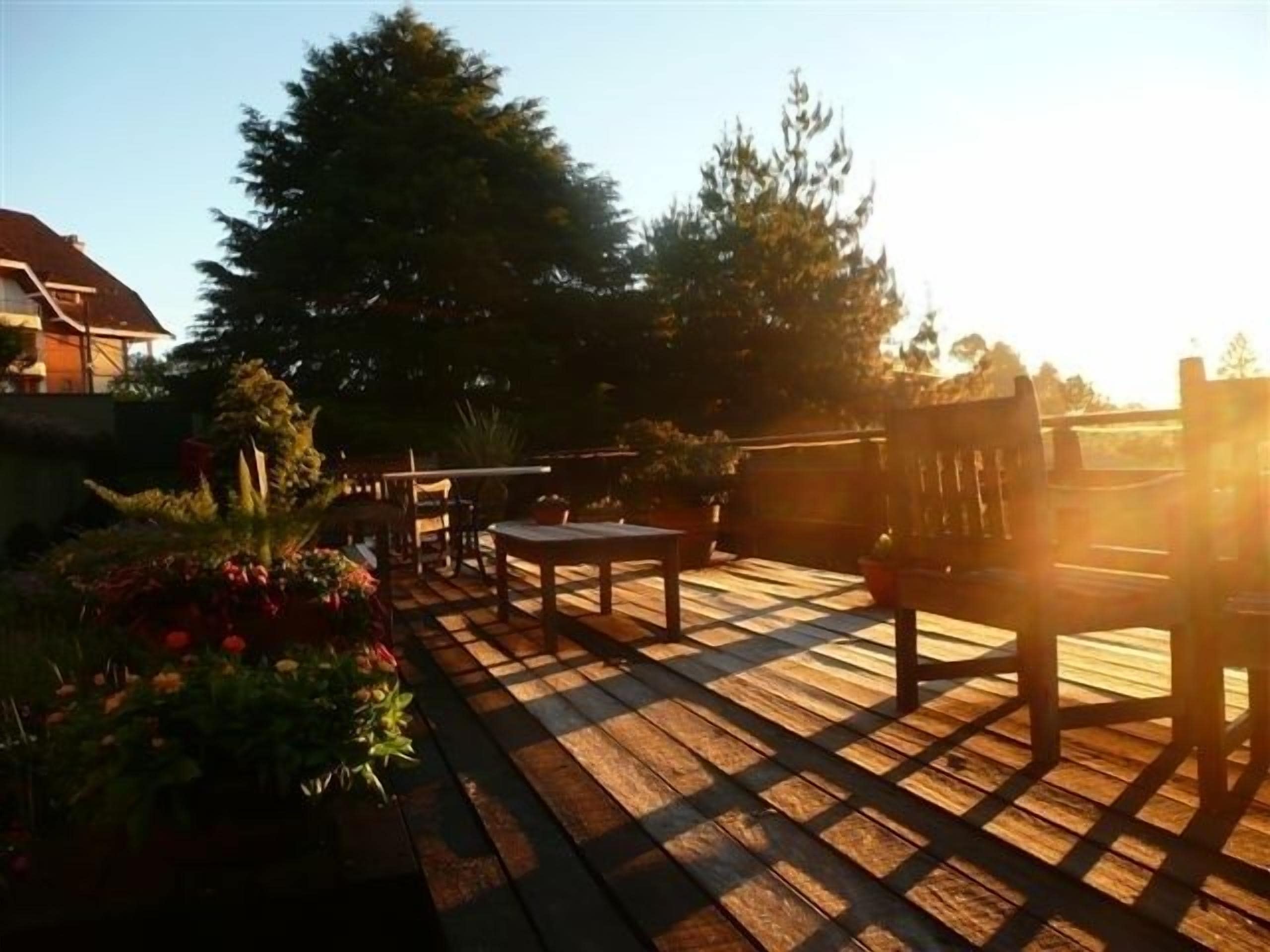 A wooden deck with a table and chairs, surrounded by potted plants and trees.