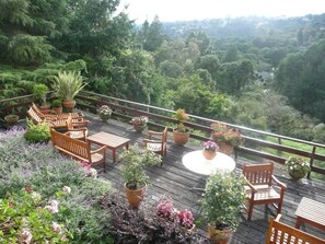 Relax on the deck surrounded by lush greenery and take in the serene views of the forest.