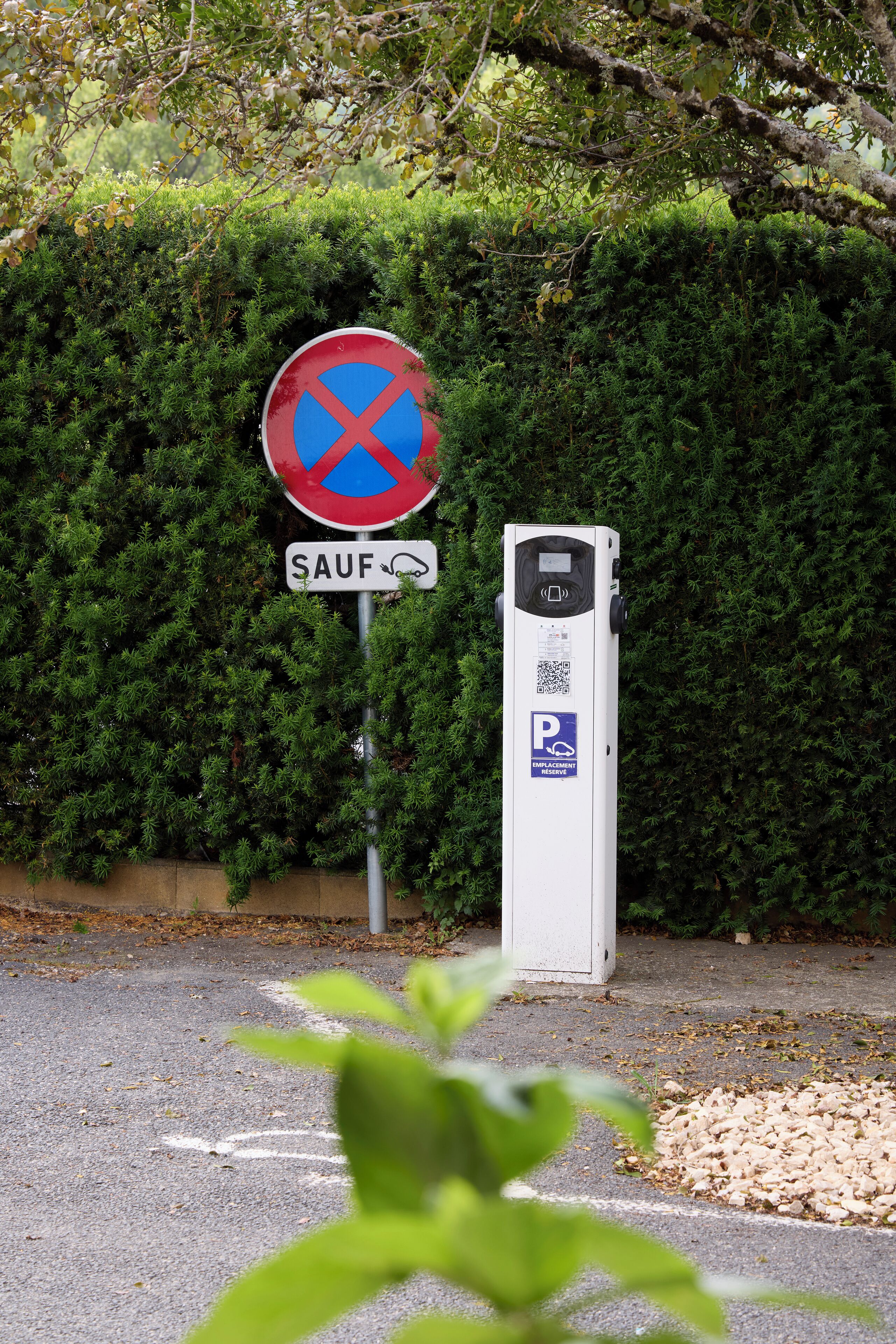 Una señal de no estacionamiento, un parquímetro y un seto al fondo.