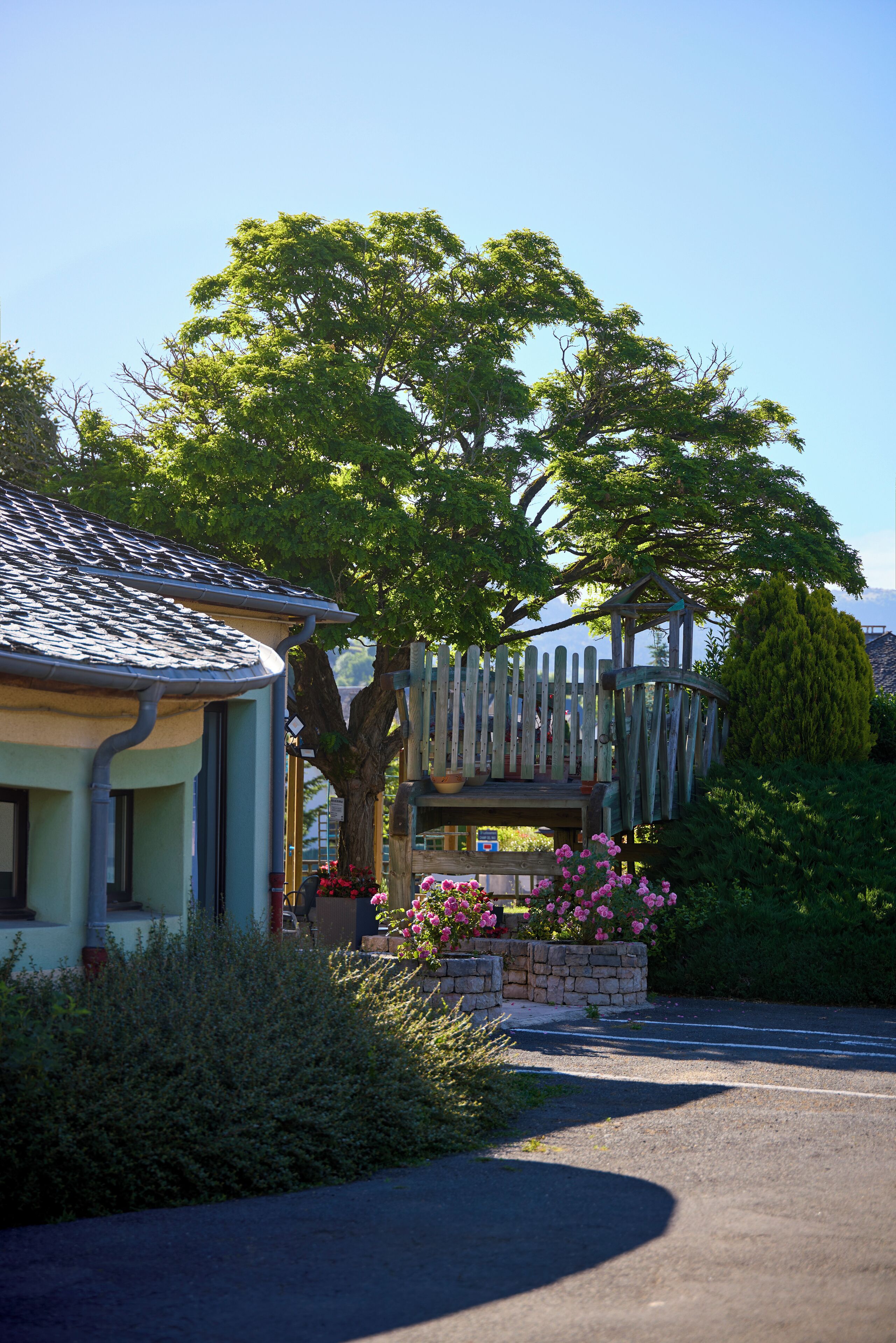 テラス / パティオ