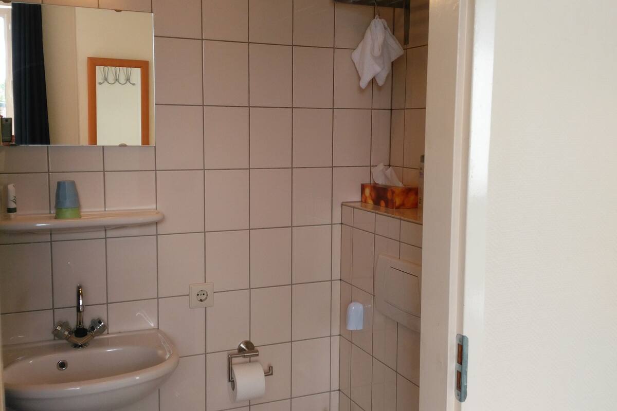 double room (small) | bathroom | shower, hair dryer, towels