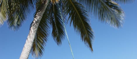 On the beach, snorkeling, kayaking, fishing