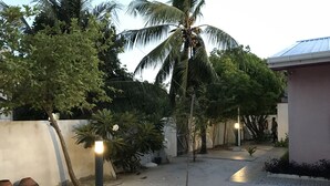 A well-maintained outdoor area with a palm tree, a pathway, and a wall with decorative vases. - Azoush Tourist Guesthouse (Fulhadhoo)