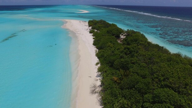 A tropical beach with clear turquoise waters, a sandy shore, and dense green vegetation. - Azoush Tourist Guesthouse (Fulhadhoo)