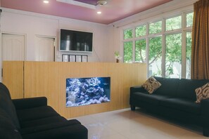 Televisión de pantalla plana, películas de estreno