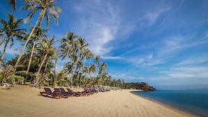 Una playa con filas de tumbonas y palmeras.