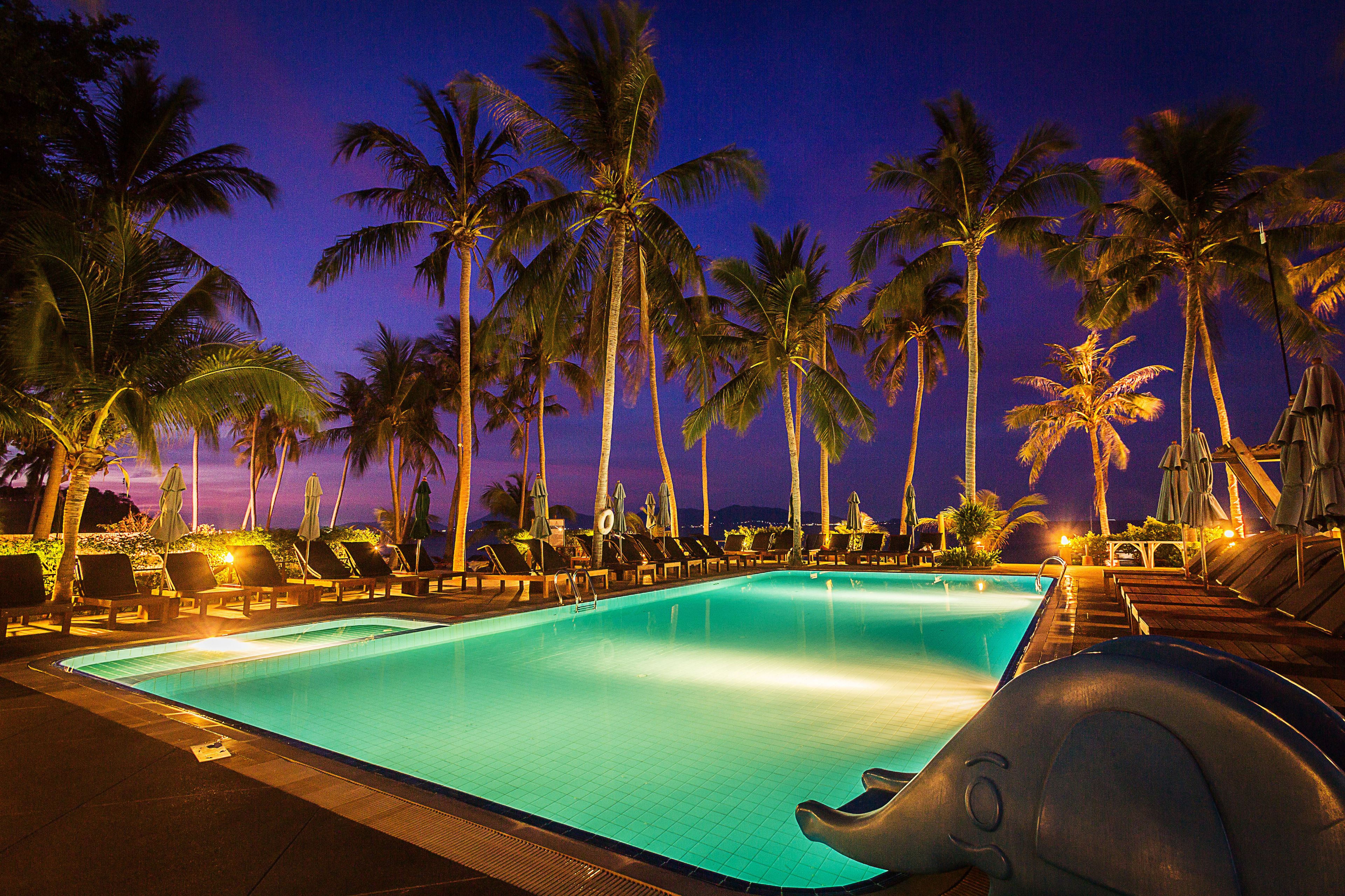 outdoor pool, pool umbrellas, pool loungers