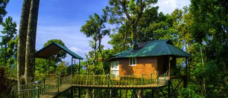 Nhà trên cây Tiêu chuẩn, 1 phòng ngủ, bồn tắm, quang cảnh đồi núi | Quang cảnh sân vườn