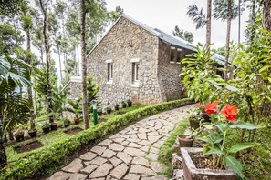 Un edificio de piedra con un camino de piedras que lo conduce, rodeado de abundante follaje y plantas en macetas.