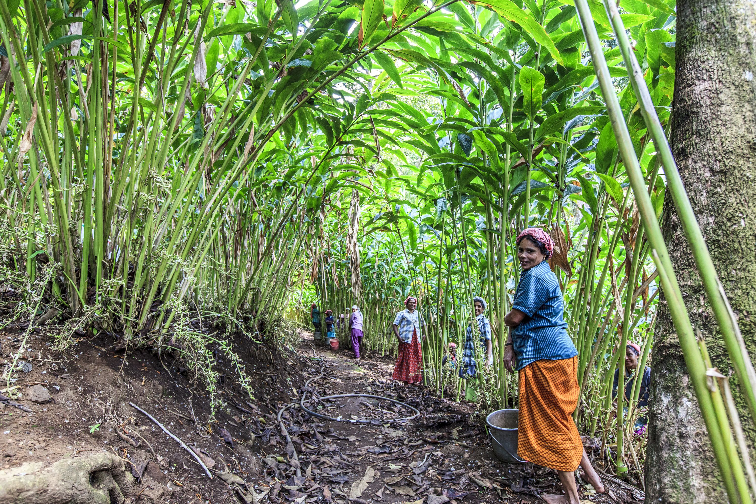 land view from property