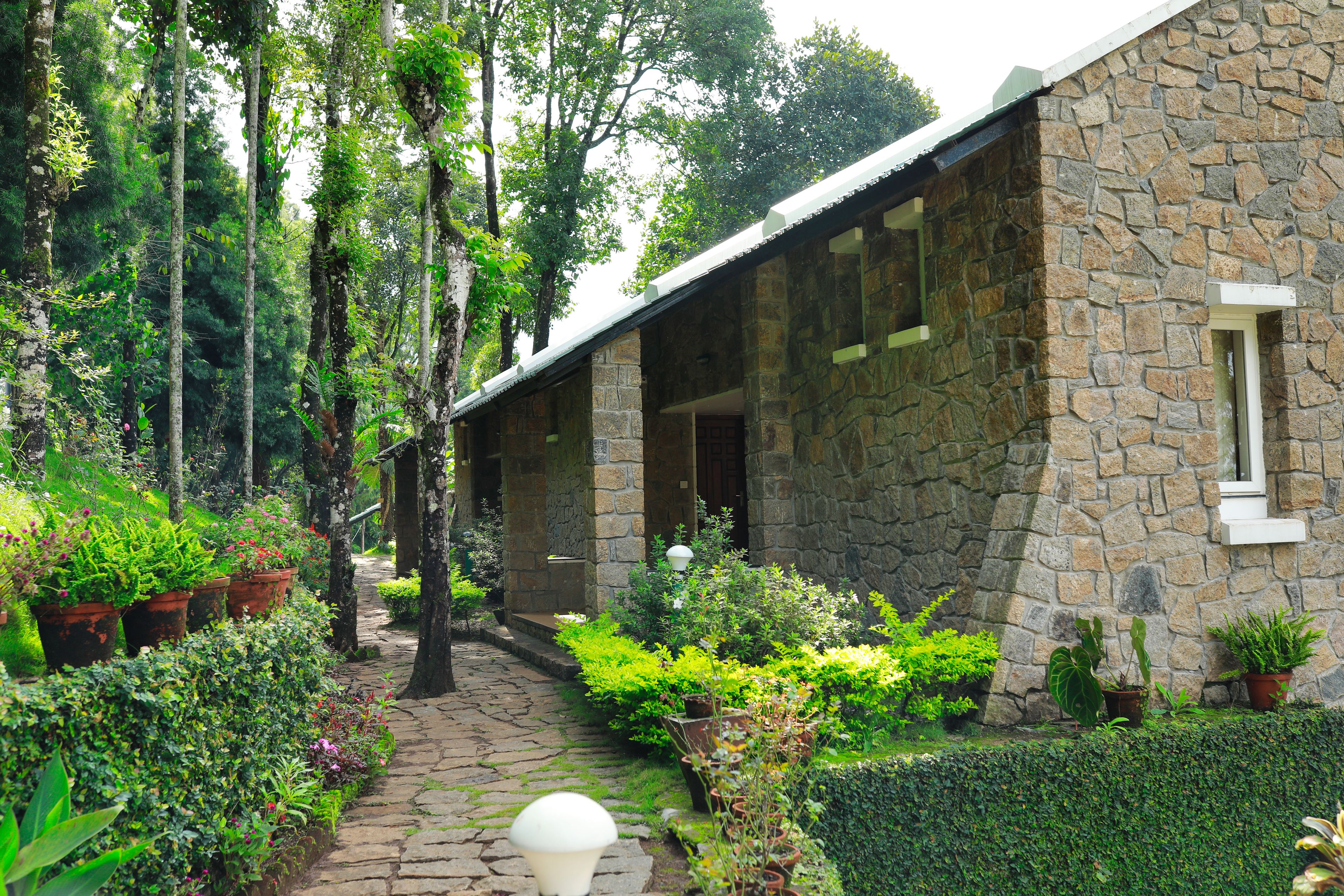 luxury room, 1 bedroom, hill view, mountainside | view from room