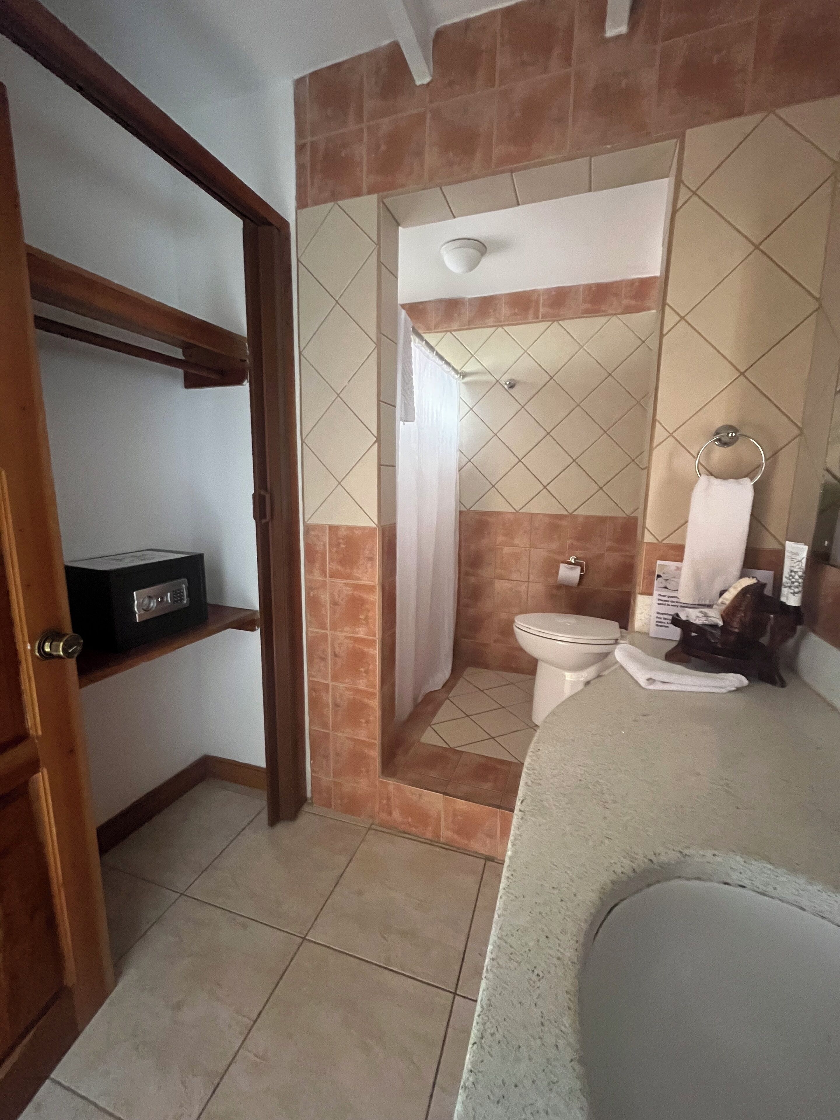 A bathroom with a toilet, shower, and a shelf with a radio.