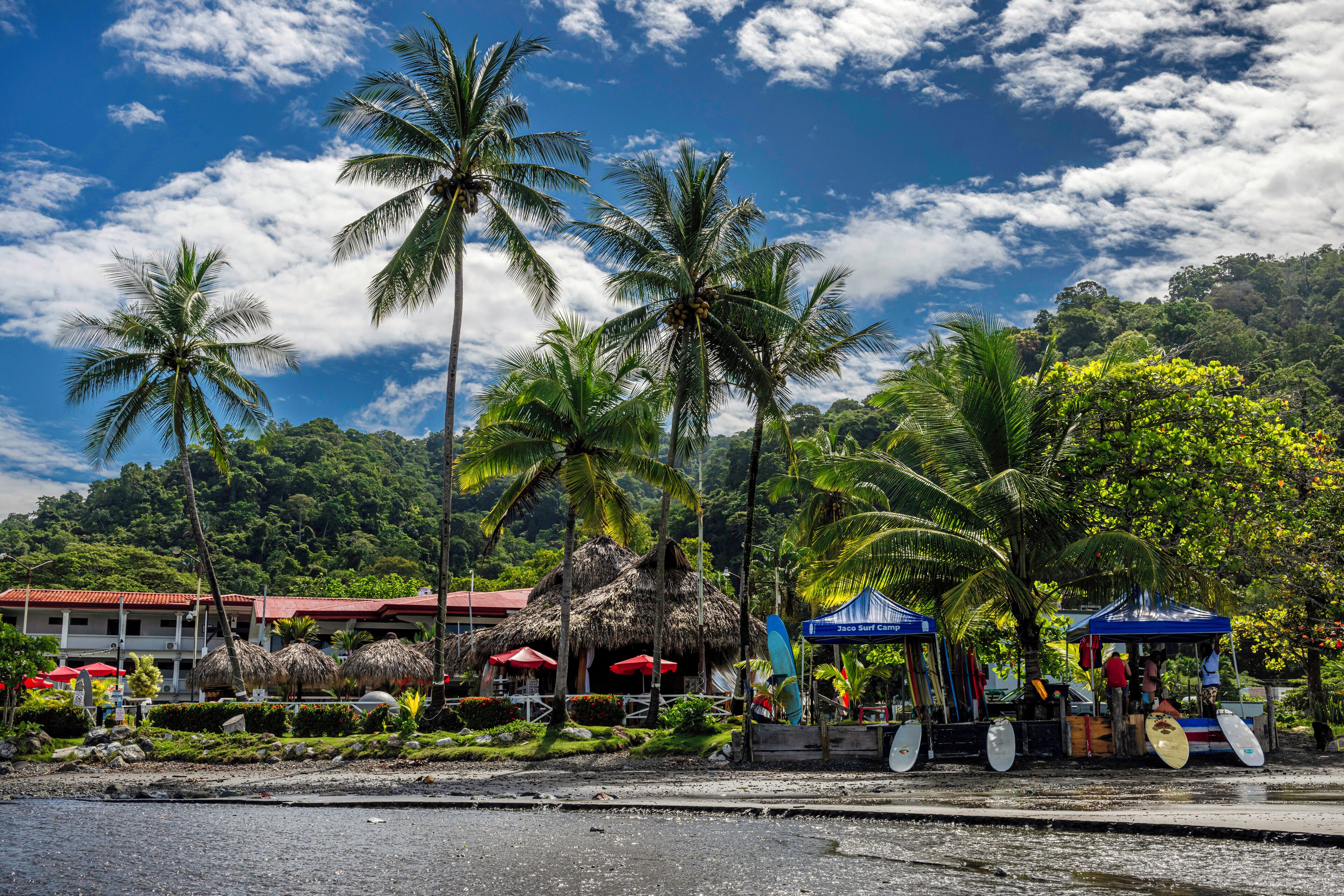 A beachside resort with thatched-roof huts, palm trees, and surfboards.