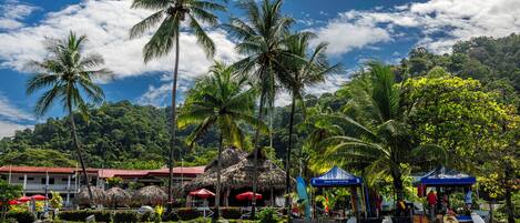 A beachside resort with thatched-roof huts, palm trees, and surfboards.