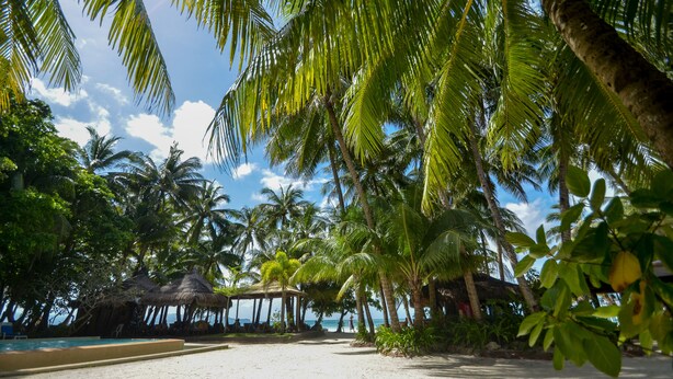 A beach with palm trees, a pool, and a thatched-roof structure. - Sea Wind Resort (Boracay Island)