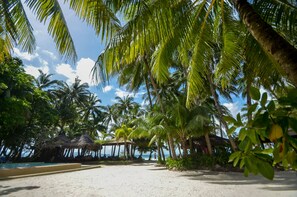 A beach with palm trees, a pool, and a thatched-roof structure. - Sea Wind Resort (Boracay Island)