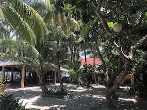 Garden - Sea Wind Resort (Boracay Island)