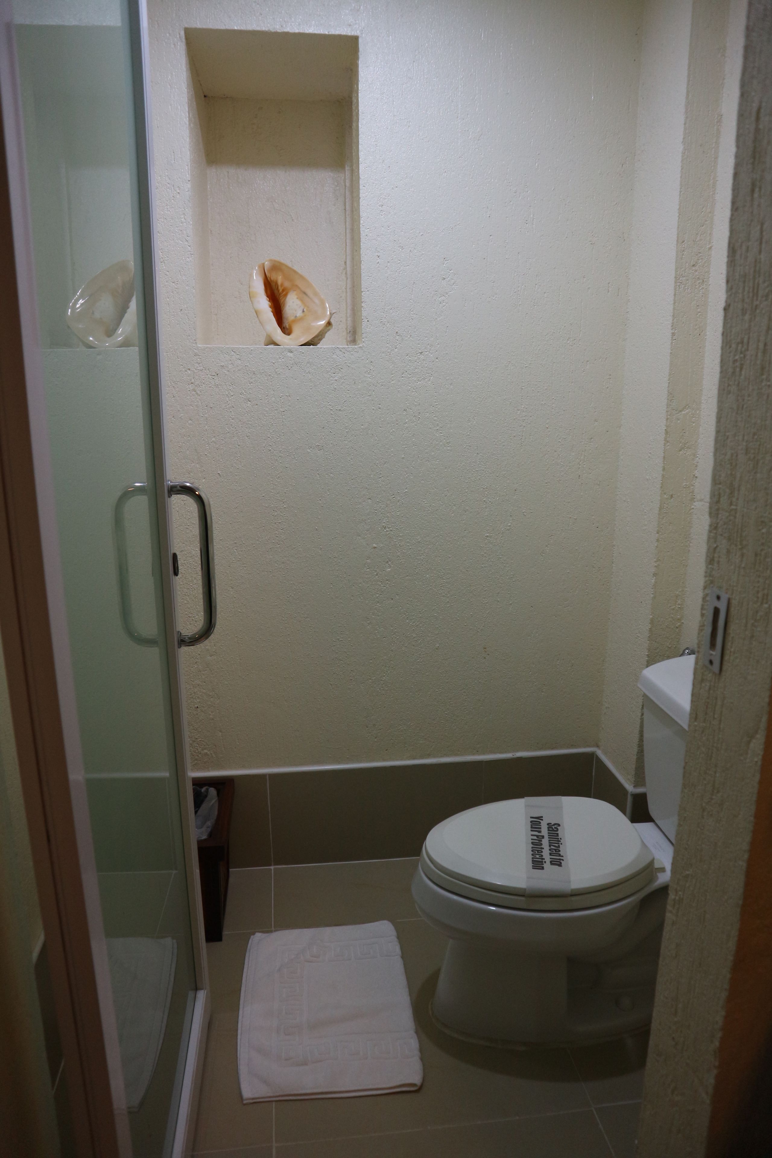 Ein Badezimmer mit Duschkabine aus Glas, Toilette und Ablagefläche darüber.