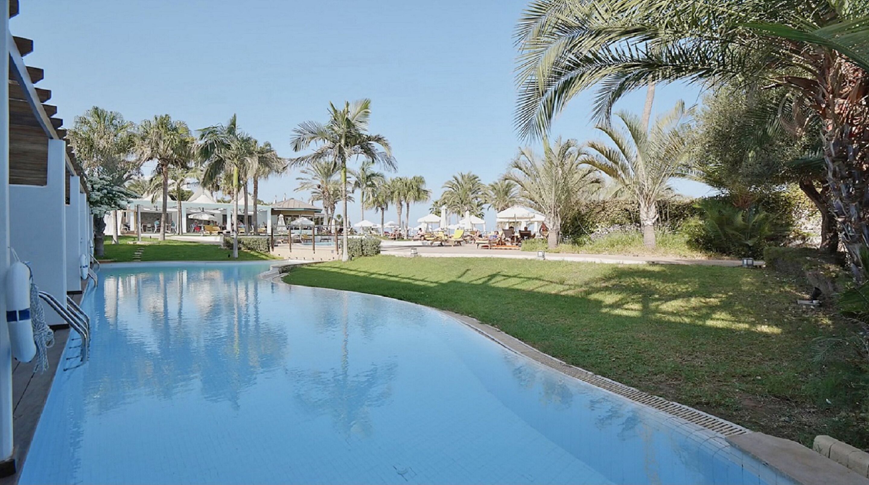 A swimming pool with a curved edge, surrounded by palm trees and a grassy area.