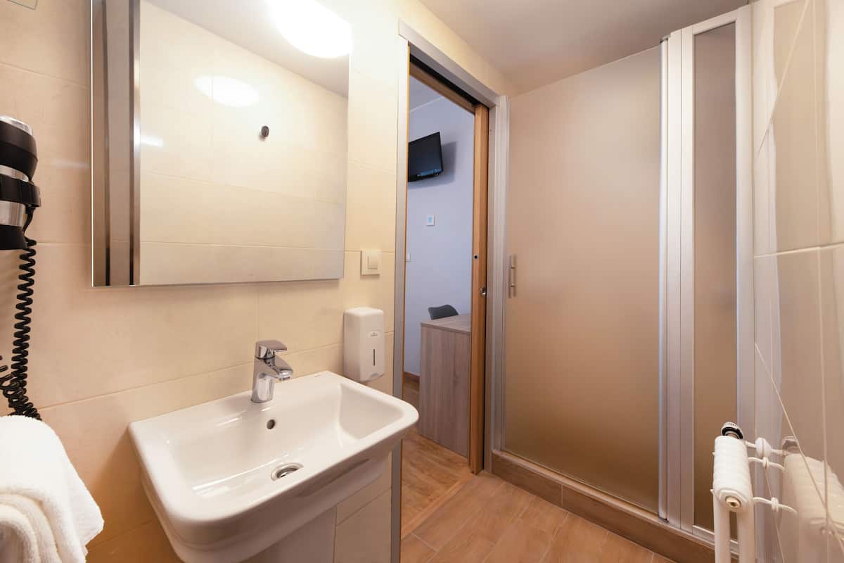single room | bathroom | shower, eco-friendly toiletries, hair dryer, towels