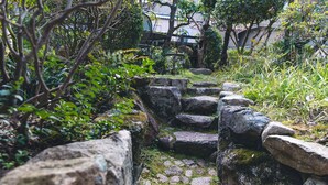Una escalera de piedra rodeada de exuberante vegetación, que lleva a una construcción tradicional.