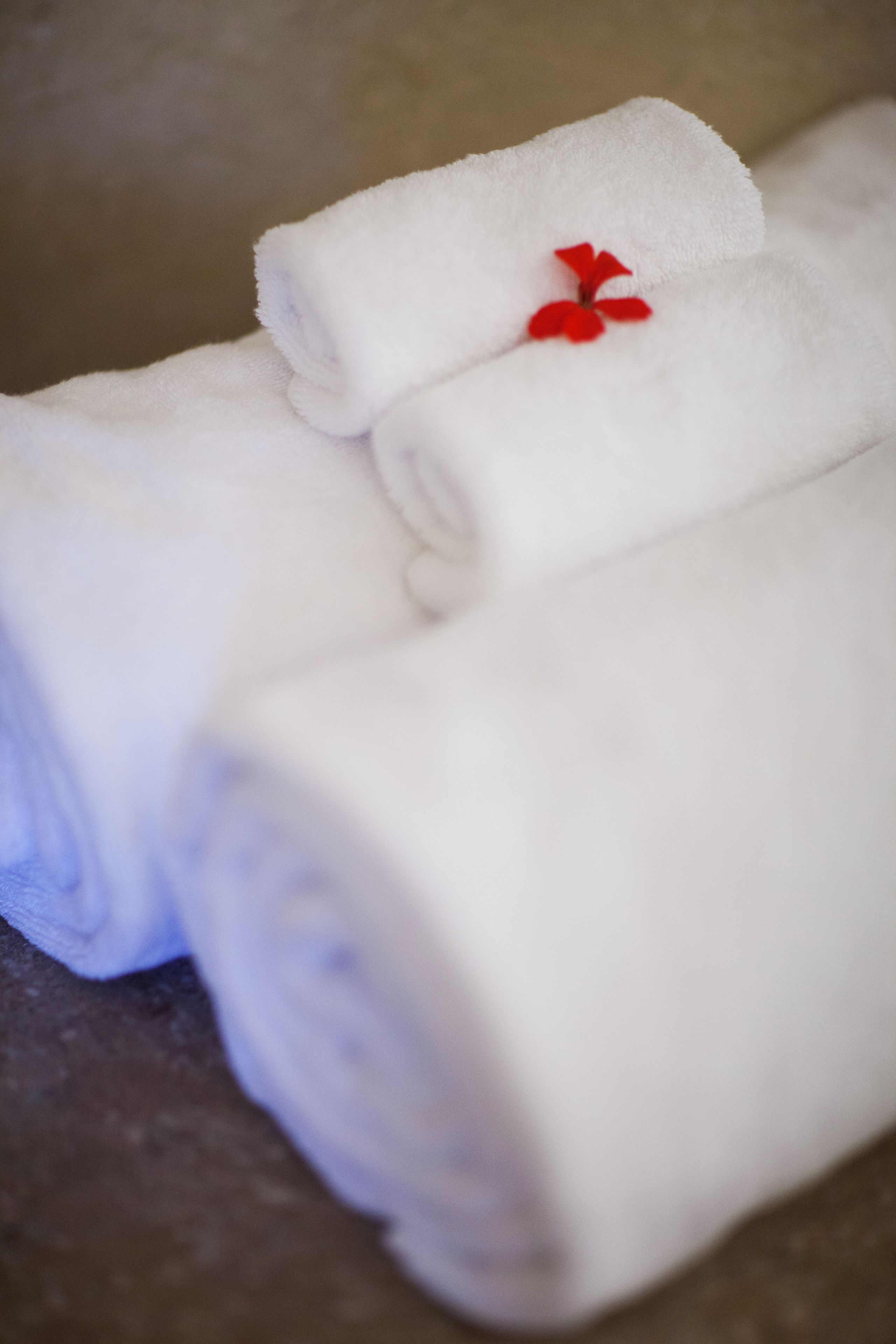 water tower duplex | bathroom amenities | rainfall showerhead, designer toiletries, hair dryer, bathrobes