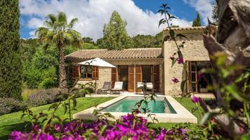 Premium bedding, down comforters, minibar, in-room safe