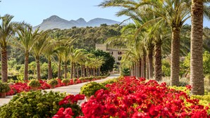 A pathway lined with palm trees and red flowers leading to a building with a mountain backdrop.