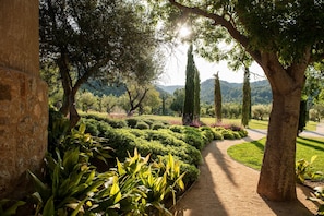 Vue sur le jardin