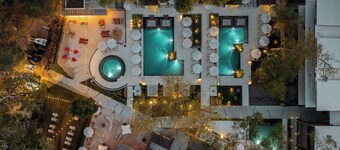 El Mangroove Papagayo, Autograph Collection