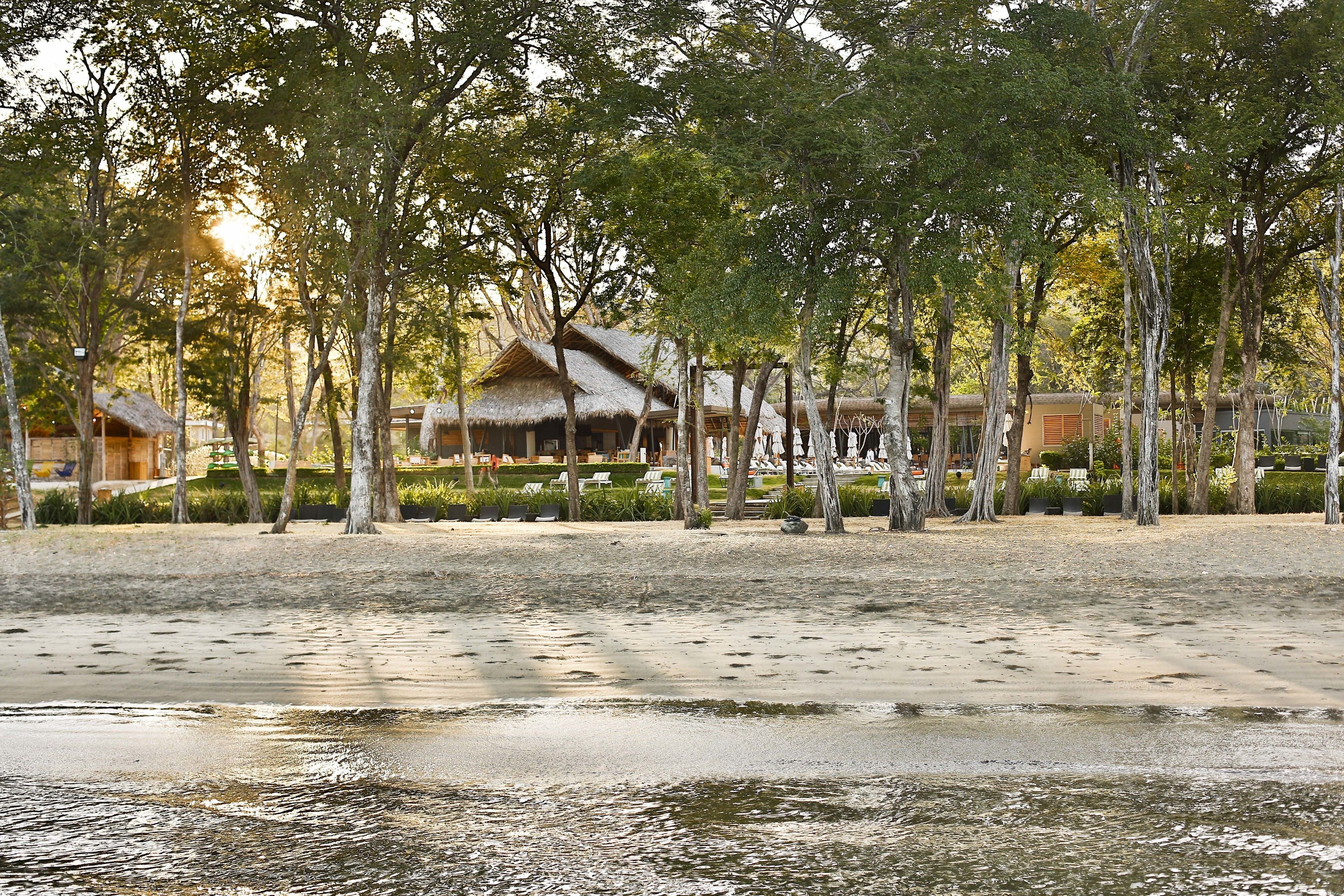 On the beach, beach umbrellas, beach towels, scuba diving