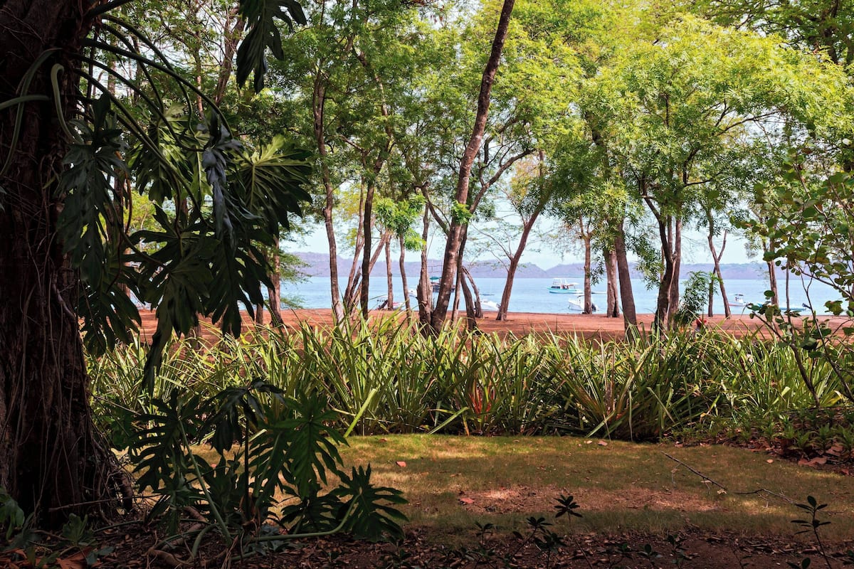 Ein tropischer Garten mit Blick auf den Strand, dichtem Grün und blauem Himmel.