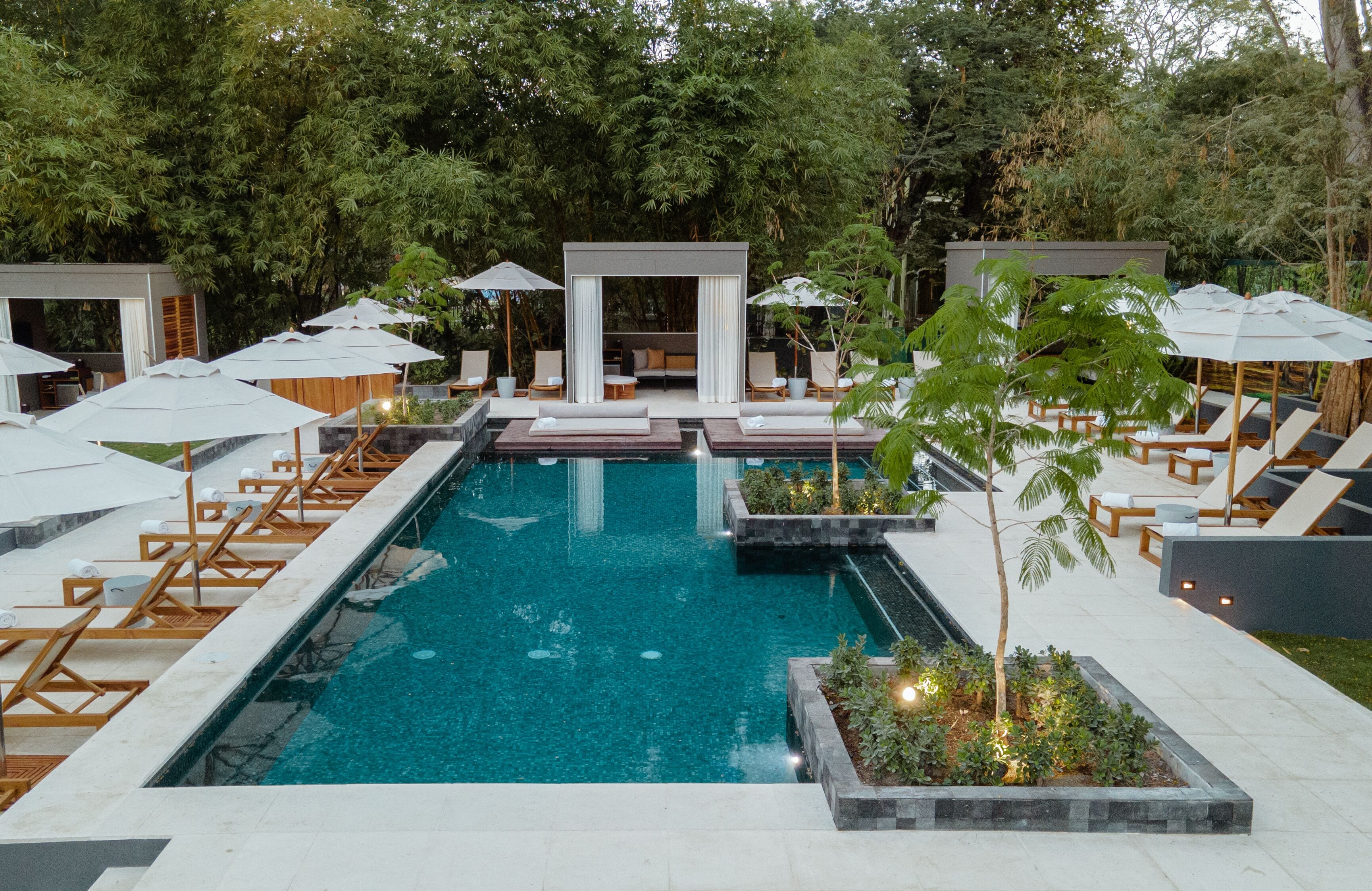 Una piscina con sillones de descanso y sombrillas, rodeada de follaje.