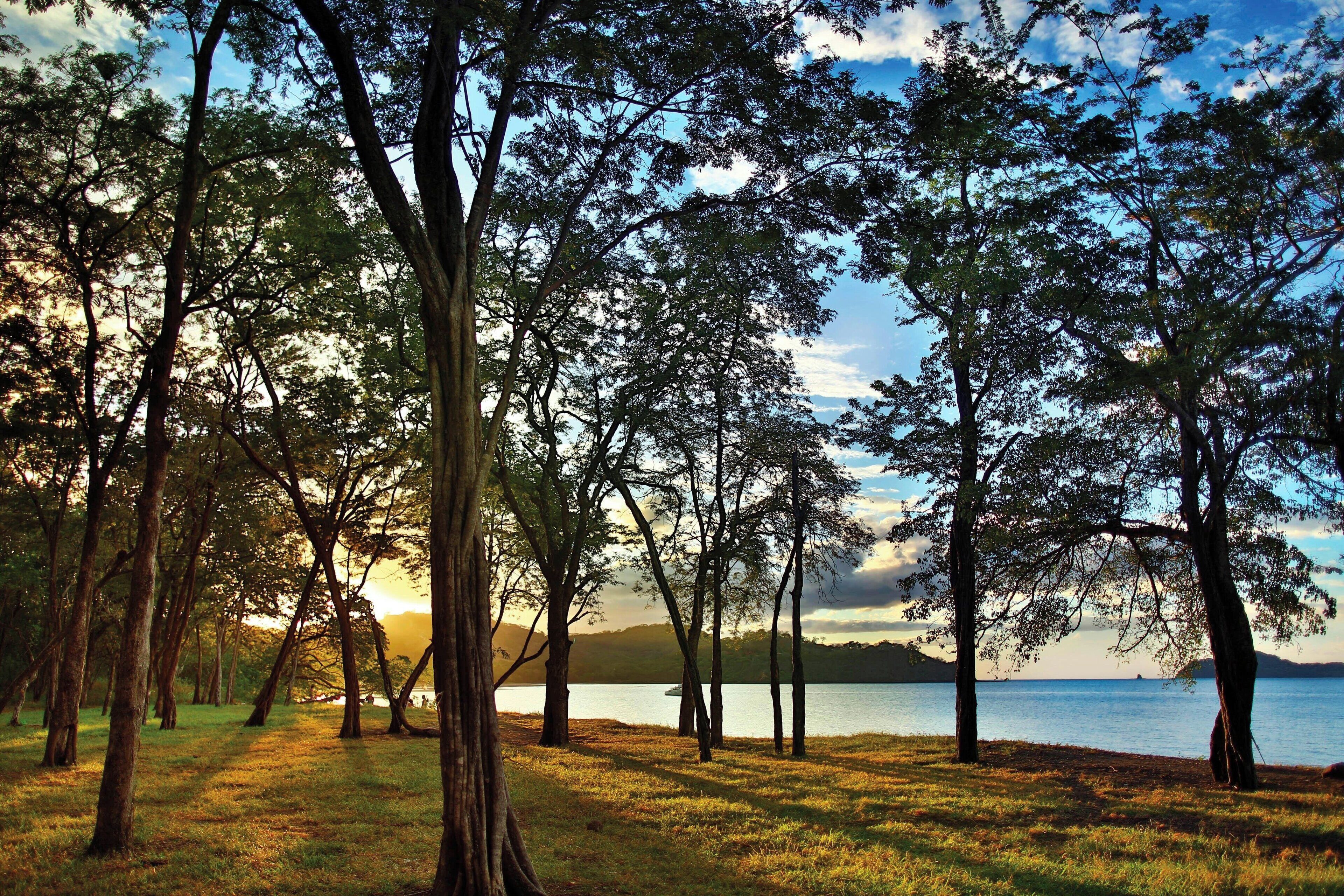 on the beach, beach umbrellas, beach towels, scuba diving